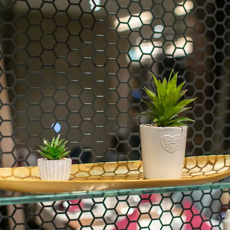 Paris Hotel 4*