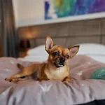 Paris Hotel 4*