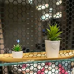Paris Hotel 4*